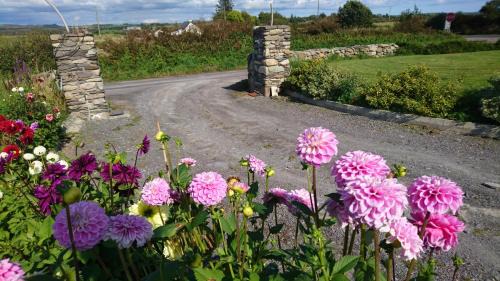 Ballydehob Cama Y Desayuno | An Carraig Ard B&B