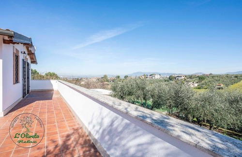 Borghesiana Apartamento | An Enchanting and Discreet Place nestled in an Olive Grove just a stone's throw from Rome