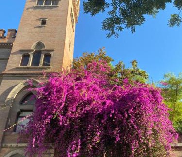 Distrito Macarena Apartamento | An Indian Bollywood Sevilla Experience - for families, couples & business trips