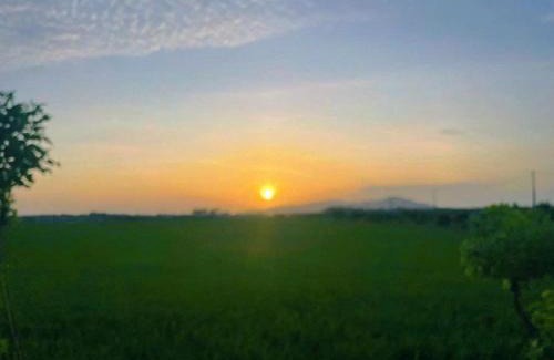 Long Dien Villa | An Nhiên Homestay- Cánh đồng An Nhất