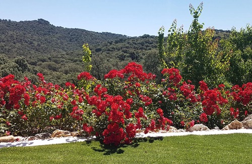 La Granada de Rio-Tinto Casa | An unforgettable vacation full of sun and relaxation awaits you in this vacation home with pool.