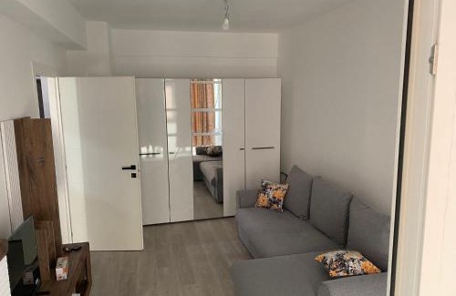 Ciurea Apartamento | Ana Maria