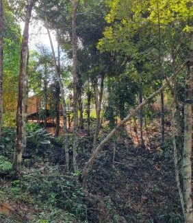 Taruma-Acu Cabina | Anauê Jungle Chalés