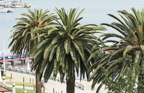 Geelong Apartamento | Anchor Geelong