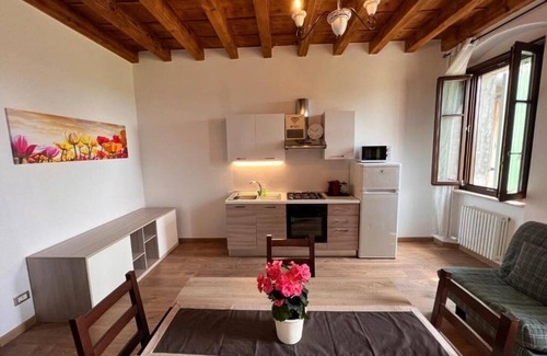 Monzambano Apartamento | Ancient Coat of Arms Meneghella Court - Tulips