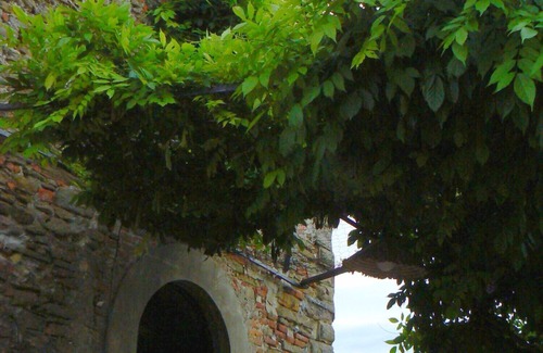 Arezzo Villa | Antigua villa cerca de Arezzo