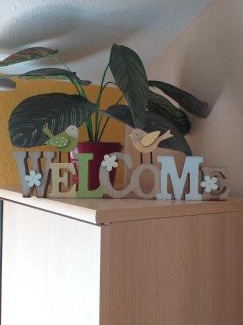 Gyula Apartamento | Andi Apartman