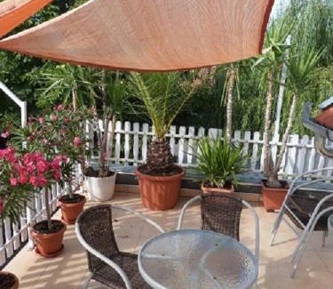 Gyula Apartamento | Andi Apartman