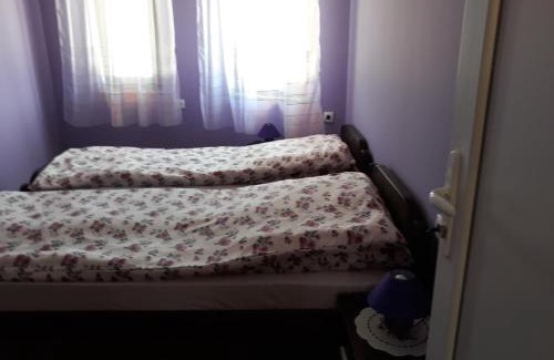 Vojvodina Apartamento | Andi Apartman