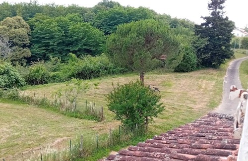 Laurede Casa | André's garden