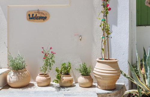Skopelos Casa | Anemelo Home