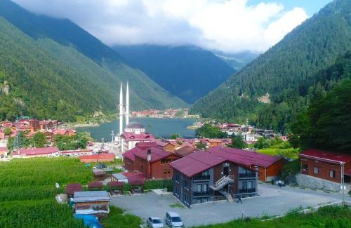 Uzungol Apartamento | Anemo Suite