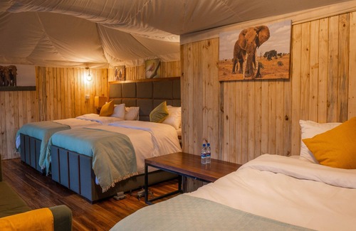 Tarangire National Park Otro | Angata Tarangire