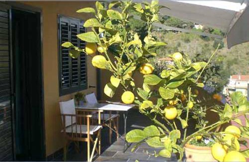 Vallcarca i els Penitents Cama Y Desayuno | Anita's Bed and Breakfast