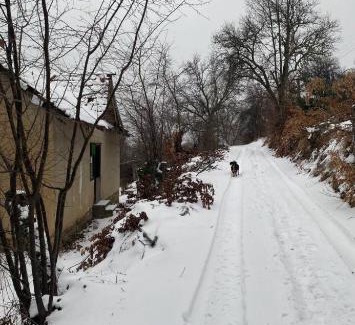 Central Serbia Casa | ANN III