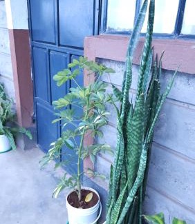 Central Province Apartamento | Anna's Bloom and Bed