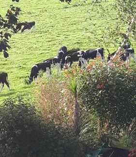 Cahir Cama Y Desayuno | Annaswood B&B
