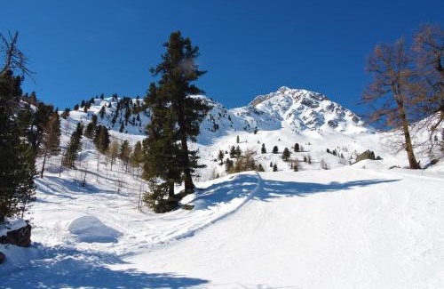 Lauenen Bei Gstaad Apartamento | Anniviers : studio avec mezzanine