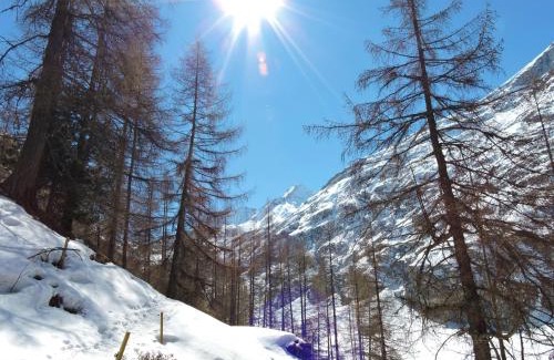 Lauenen Bei Gstaad Apartamento | Anniviers : studio avec mezzanine