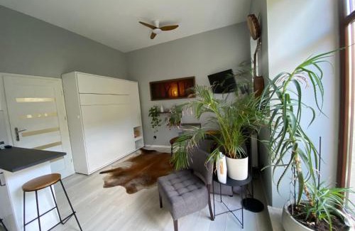Stare Podgorze Apartamento | ANTA Peacefull Apartment