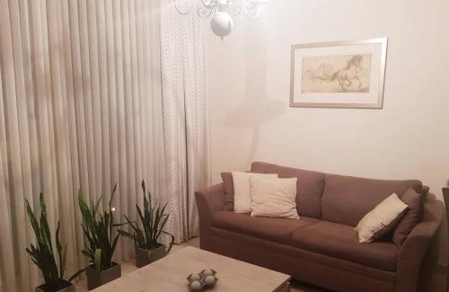 Vilnius city municipality Apartamento | Antakalnis Apartment