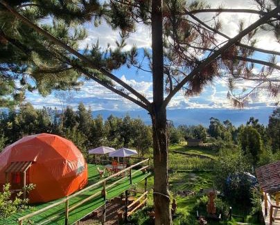 Quinua Otro | Antawara Glamping