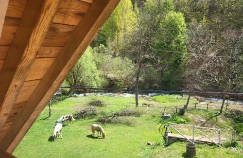Stara Planina Apartamento | Antić apartmani Stara planina