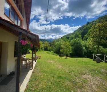 Stara Planina Apartamento | Antić apartmani Stara planina