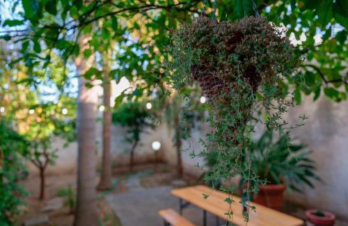 San Pietro Vernotico Cama Y Desayuno | Antico Frantoio Cairoli B&B Exclusive Room