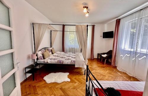 Sighisoara Casa | Anton Pann House - Entire house below the citadel