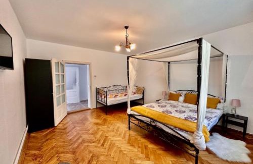 Sighisoara Casa | Anton Pann House - Entire house below the citadel