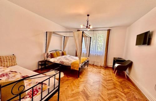 Sighisoara Casa | Anton Pann House - Entire house below the citadel