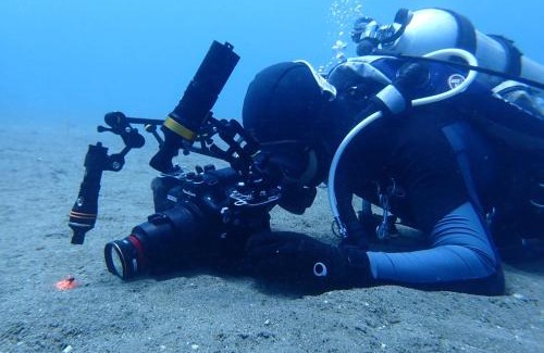 Dauin Casa | AoJing Diving Resort澳鲸潜水温泉店