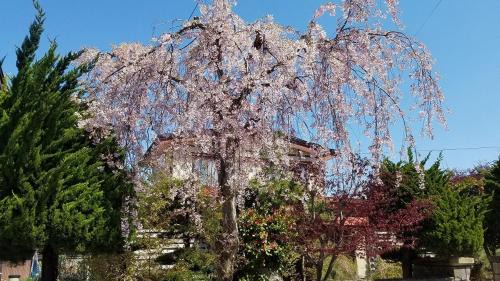 Aomori Casa | AomoriOutdoorHouse