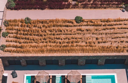 Ornos Villa | Myko Villa Private pool