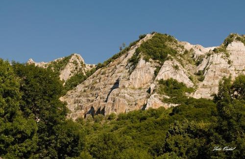 Belapatfalva Casa | Apátságúti Vendégház