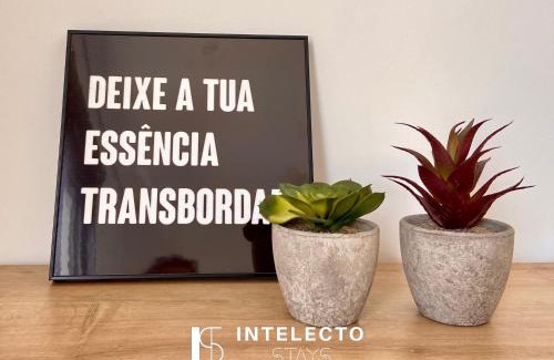 Regiao Urbana Homogenea X Apartamento | Apê 1104 Central, Jacuzzi, Academia, Sala de jogos