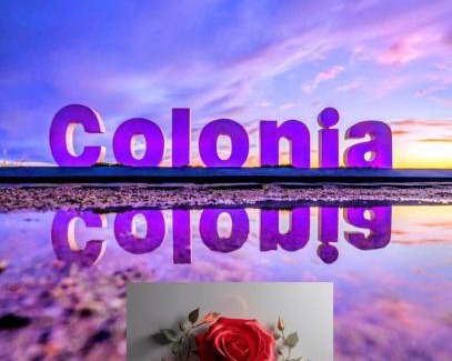 Colonia del Sacramento Apartamento | Ap 609 Alójate y disfruta la Vista al Río y Atardeceres