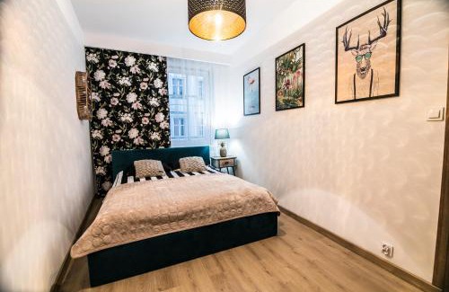Walbrzych Apartamento | AP Apartment's W Rynku