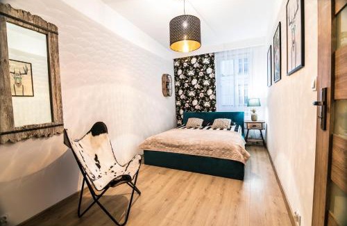 Walbrzych Apartamento | AP Apartment's W Rynku