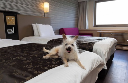 Ikenotaira Onsen Hotel | APA Hotel & Resort Jyoetsu Myoko