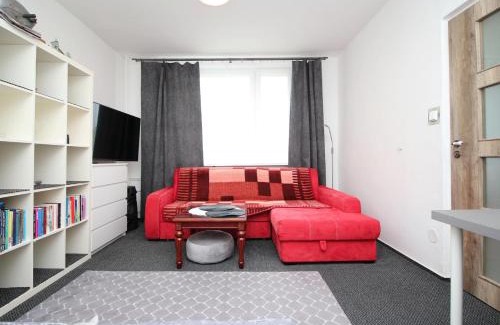 Rokytnice v Orlickych Horach Apartamento | Apartmán Rokytnička