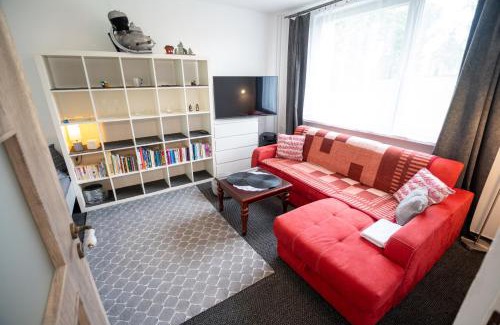 Rokytnice v Orlickych Horach Apartamento | Apartmán Rokytnička