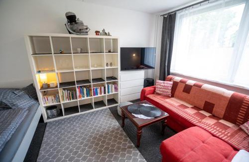 Rokytnice v Orlickych Horach Apartamento | Apartmán Rokytnička