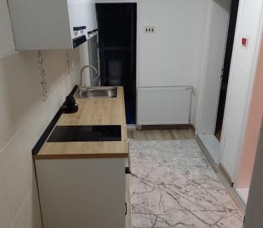 Kursumlija Apartamento | Apartman Milosavljević