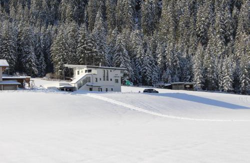 Sankt Leonhard im Pitztal Apartamento | Apart Alpinea