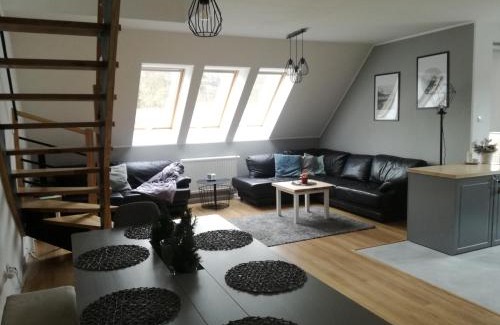 Polanica-Zdroj Apartamento | Apart Hotel 37 (108 m2)