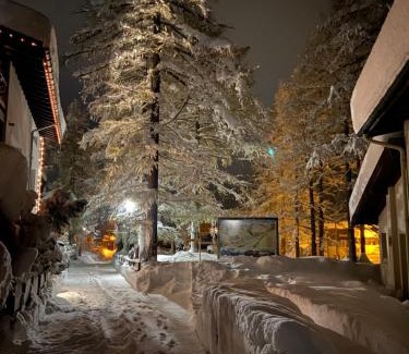 Saas Almagell Apartamento | Apart-hotel Channa