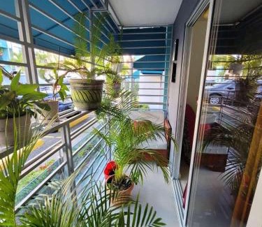 Gregorio Luperon Apartamento | Apartamento Céntrico y Acogedor