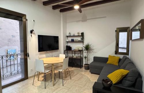 Sant Joan de Les Abadesses Apartamento | Apartament al centre històric